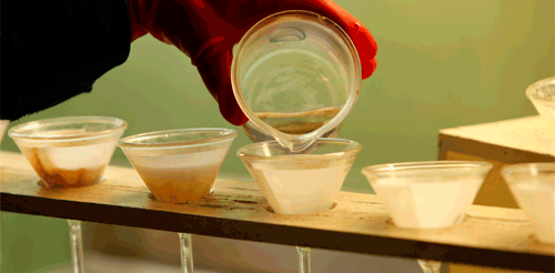 TEST-GIF-LAB